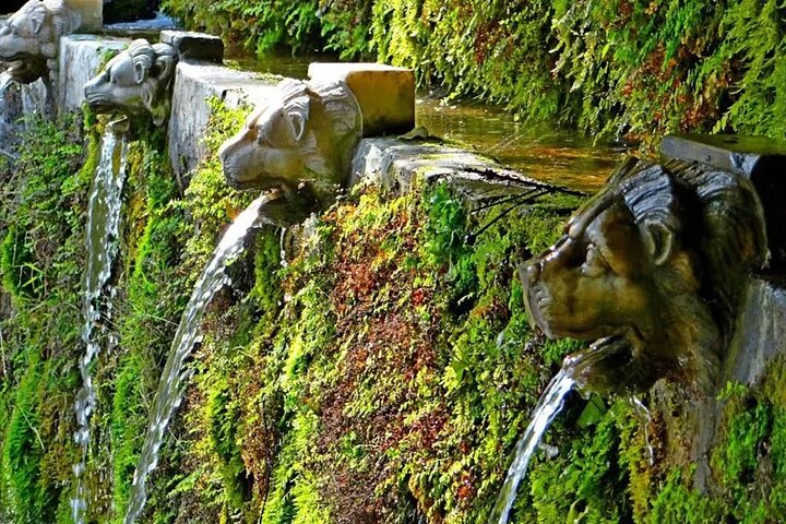 Menites Springs & Cave Foros - Half Day Tour