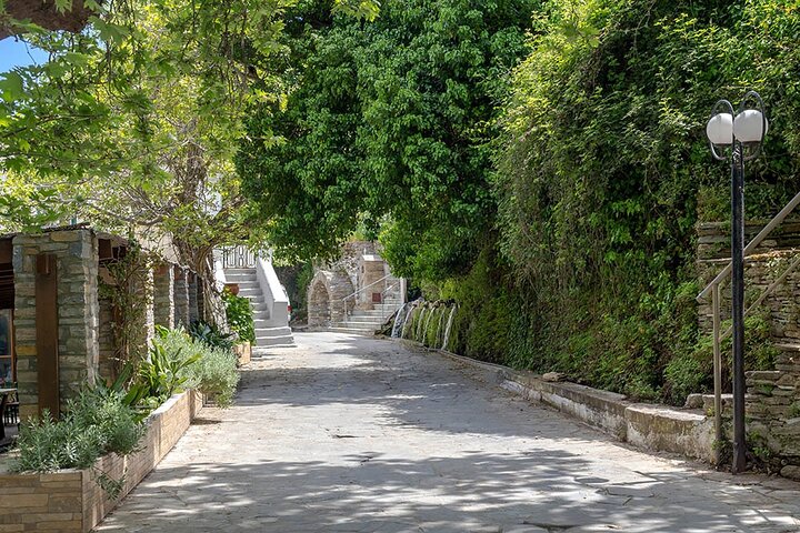 Menites Springs & Cave Foros - Half Day Tour