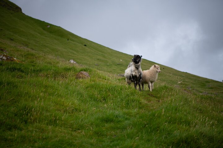 Private Kallur Lighthouse Hike