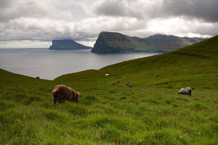 Private Kallur Lighthouse Hike