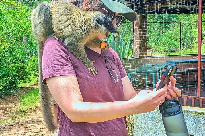 3-Day Private Tour to Andasibe National Park