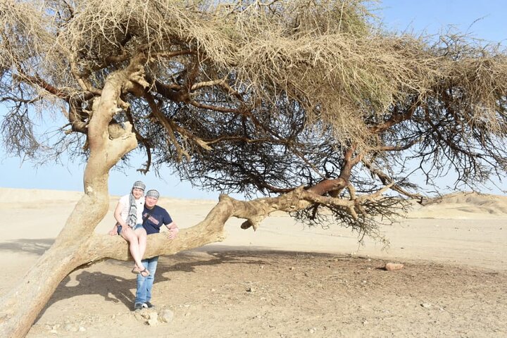 Red Sea Marsa Alam ATV Tour Experience