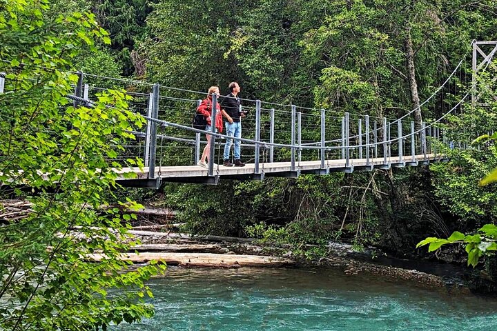 Whistler Morning With The Bears Land Rover Scenic Tour