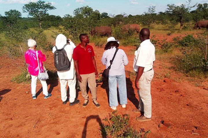 Rhino Walk Safari