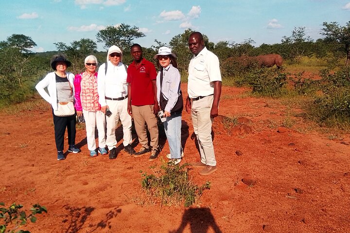 Rhino Walk Safari