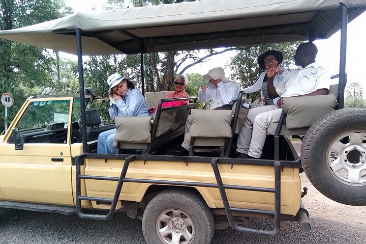 Rhino Walk Safari