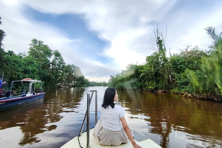 Bongawan River Cruise Proboscis Monkey, SkyMirror, Fireflies