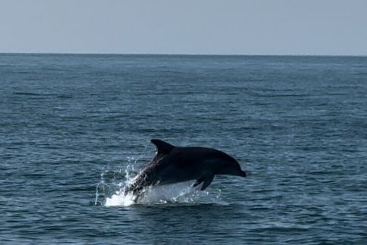 Half-Day Boat Tour in Milano Marittima, Riviera Romagnola