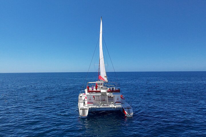 4-Hour Trip on Luxurious Catamaran in Puerto Rico - Gran Canaria