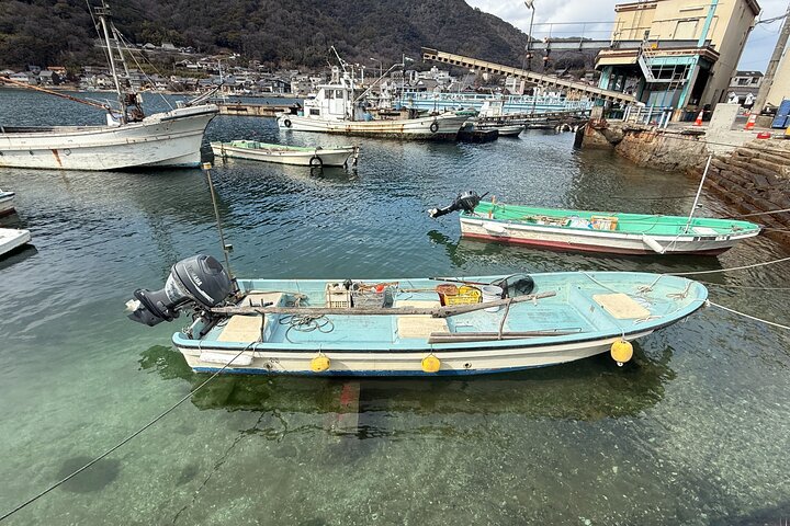 Tomonoura Hidden Gem Private Tour: Historic Seaside Japan