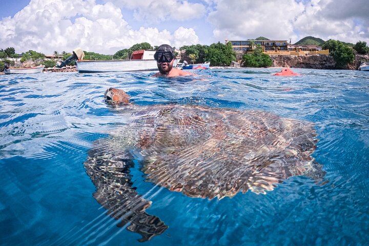 Curaçao Seabob in Playa Piskado Adventure with Sea Turtles