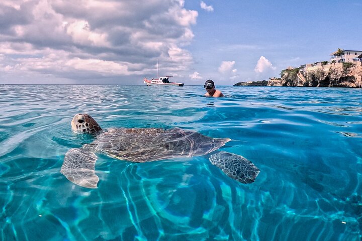 Curaçao Seabob in Playa Piskado Adventure with Sea Turtles