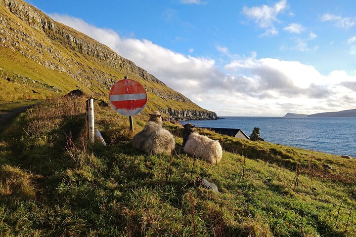 Faroe Islands Sagas of Sandoy