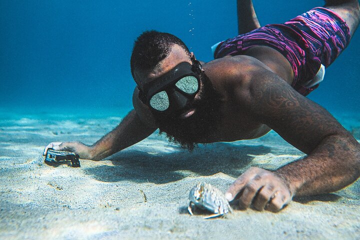 Curaçao Seabob in Playa Piskado Adventure with Sea Turtles
