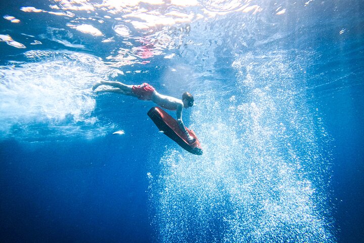 Curaçao Seabob in Playa Piskado Adventure with Sea Turtles