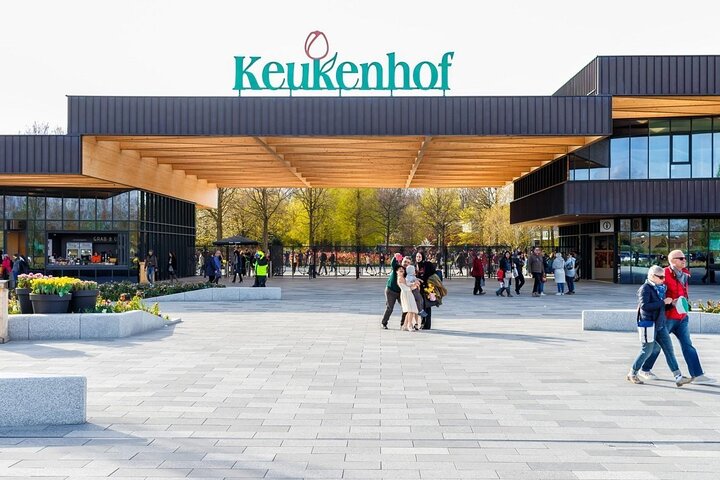 Private Tour from Rotterdam Amsterdam or IJmuiden Cruise Terminal