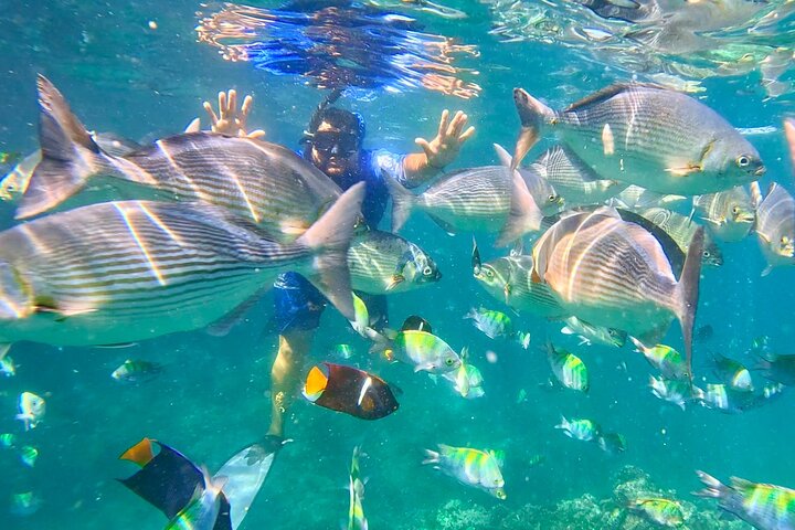 Los Arcos 5 islands Snorkeling Cliff Jumping and Hidden Beach