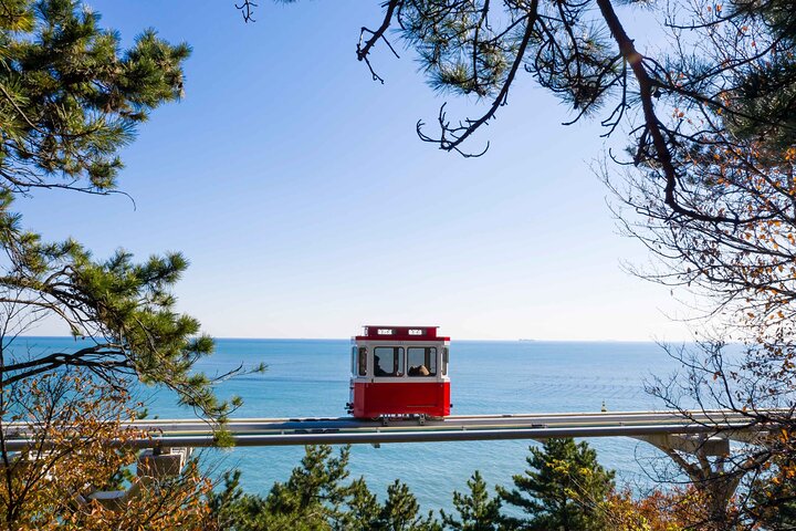 Sunset Haeundae Sky Capsule and Busan Night view Tour from Busan