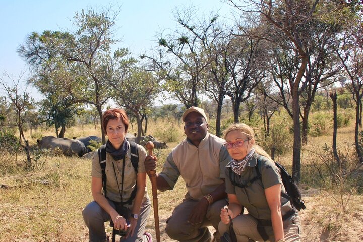 Half Day Rhino Tracking and White Rhino Cave Tour