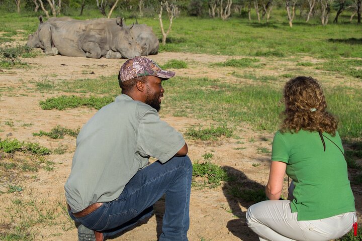 Half Day Rhino Tracking and White Rhino Cave Tour