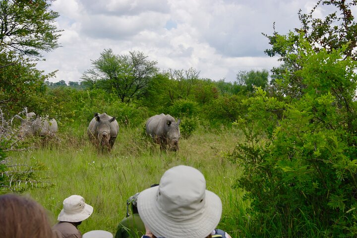 Full-Day Matobo Rhino Tracking & Rock Art from Bulawayo
