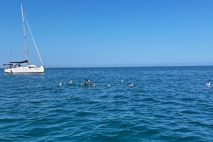 Numana : Boat rental for SHARED TOURS in GROUPS in the Conero
