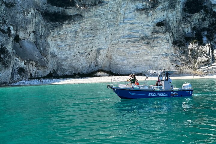 Numana : Boat rental for SHARED TOURS in GROUPS in the Conero
