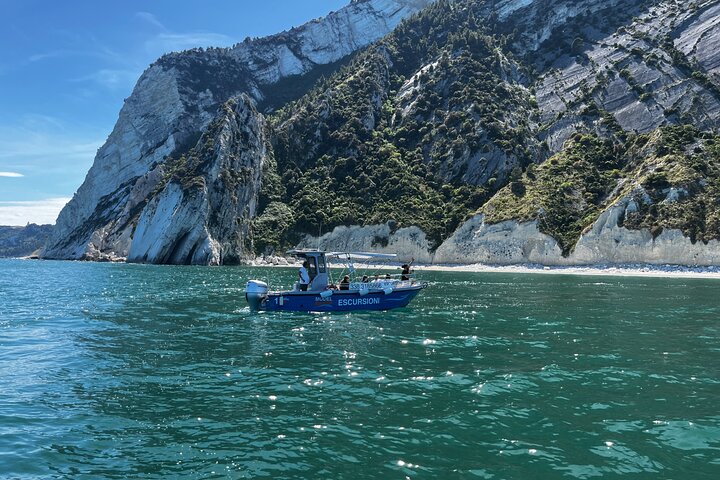 Numana : Boat rental for SHARED TOURS in GROUPS in the Conero