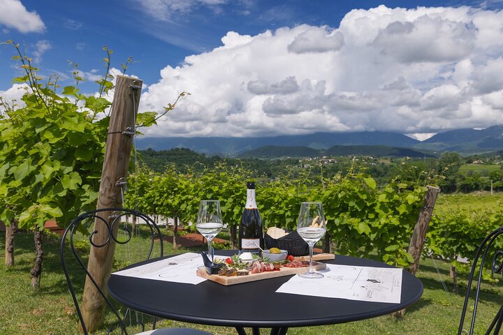 Tour and tasting in the hills of Prosecco Superiore DOCG