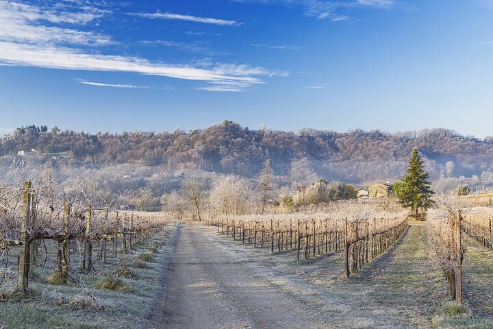 Tour and tasting in the hills of Prosecco Superiore DOCG
