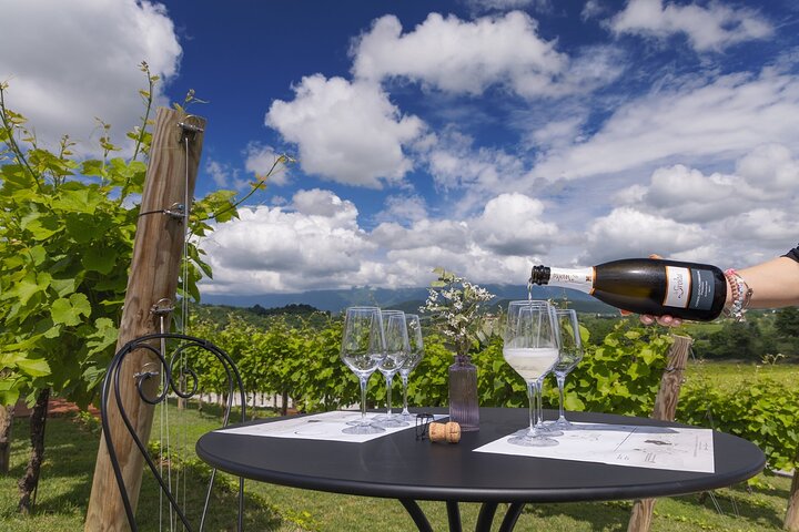 Tour and tasting in the hills of Prosecco Superiore DOCG