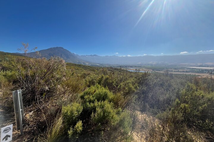 Guided E-Bike Rides in the Boland District of the Western Cape SA