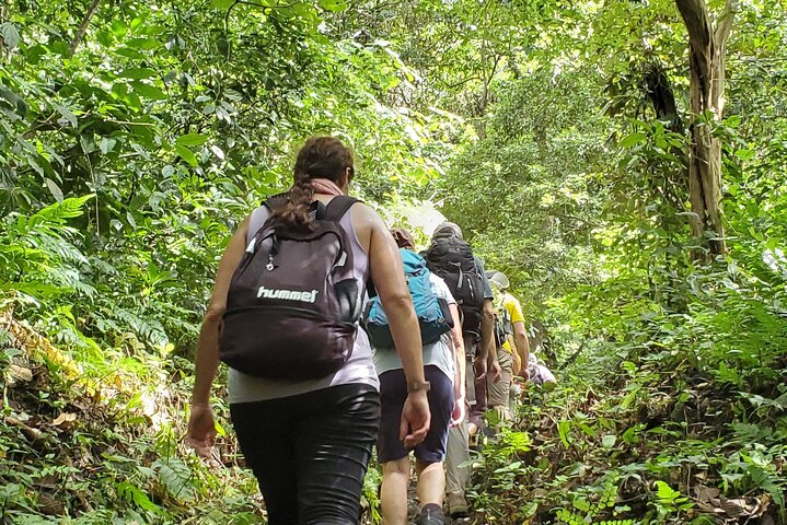 One Day Tour on Ometepe : Waterfall - Kayaking - Sunset