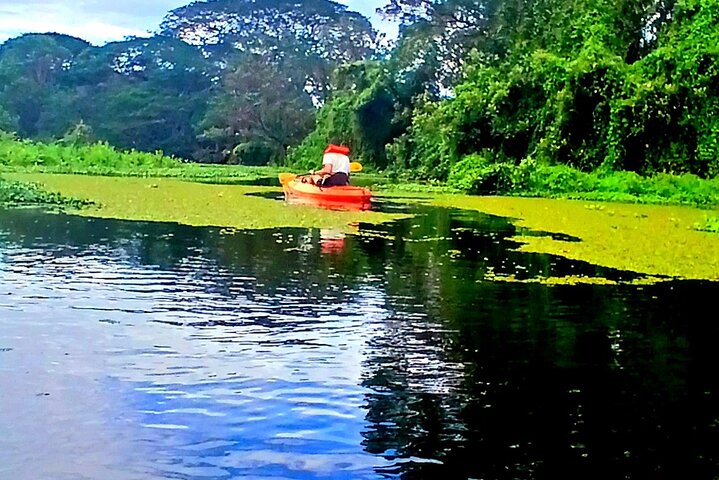 One Day Tour on Ometepe : Waterfall - Kayaking - Sunset