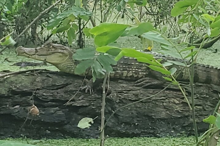 One Day Tour on Ometepe : Waterfall - Kayaking - Sunset