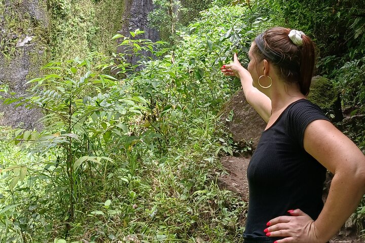 One Day Tour on Ometepe : Waterfall - Kayaking - Sunset