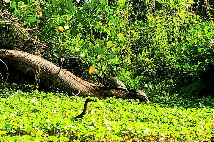 One Day Tour on Ometepe : Waterfall - Kayaking - Sunset