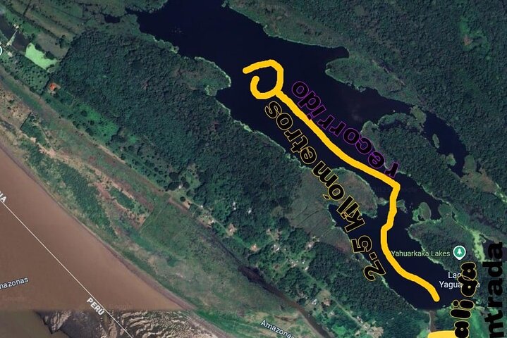 Canoeing in The Amazon Rainforest