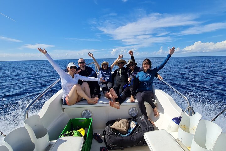 Daily Snorkeling Boat Trip in Jeddah