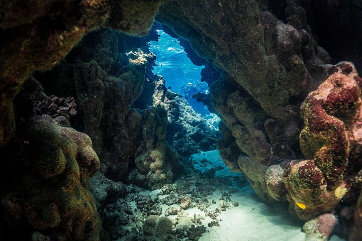Daily Snorkeling Boat Trip in Jeddah