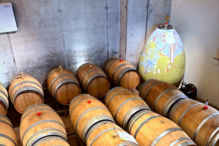 Sip Wine Along the Rhine! Romantic Rhein & Castle Wineries tour
