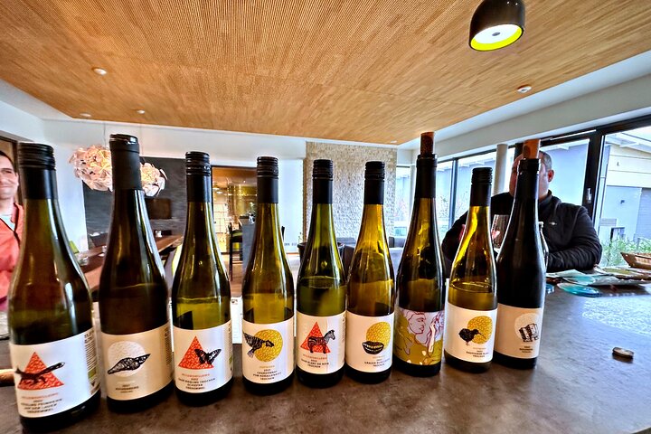 Sip Wine Along the Rhine! Romantic Rhein & Castle Wineries tour