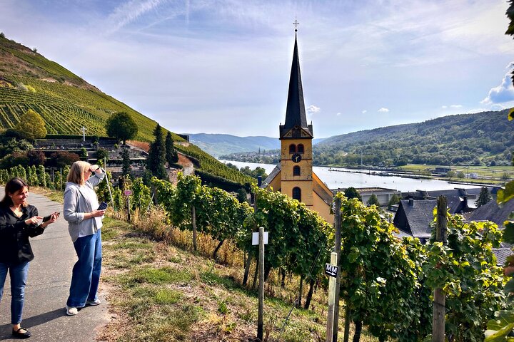 Sip Wine Along the Rhine! Romantic Rhein & Castle Wineries tour
