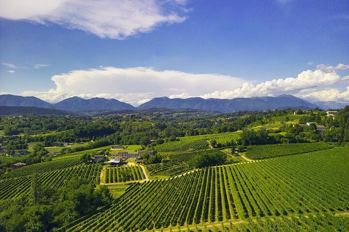 Tour and tasting in the hills of Prosecco Superiore DOCG