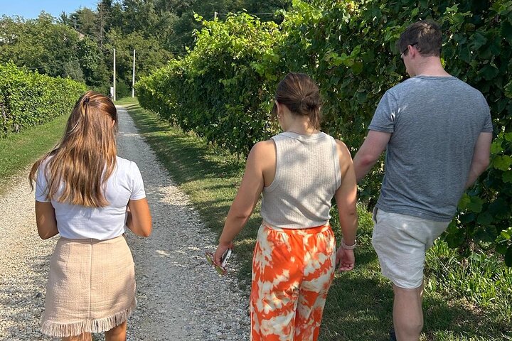 Tour and tasting in the hills of Prosecco Superiore DOCG