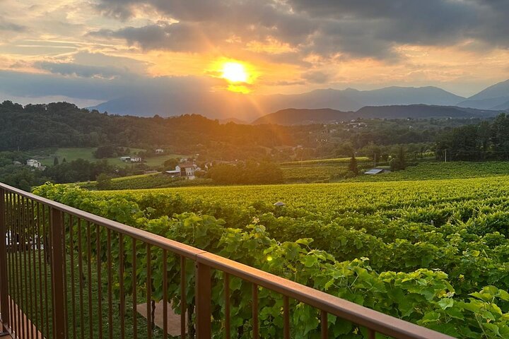 Tour and tasting in the hills of Prosecco Superiore DOCG