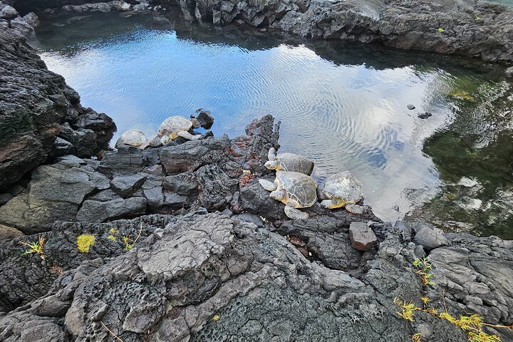 Hawaii Volcanoes, Waterfalls, Beaches & Hilo Highlights Day Tour