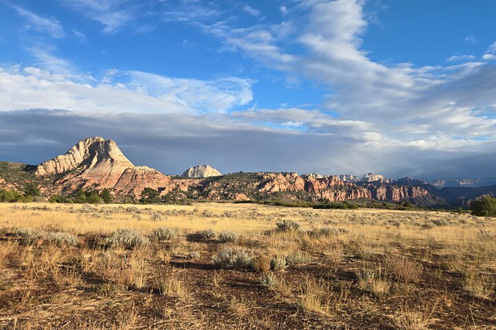 Zion National Park/Kolob Terrace Private 1/2 Day Sightseeing Tour