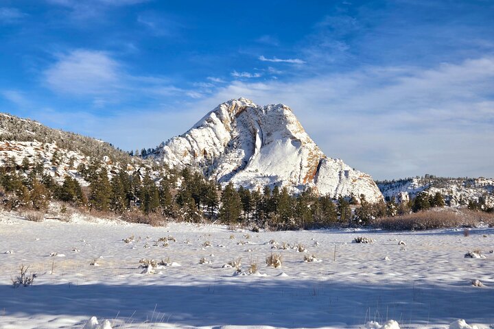 Zion National Park/Kolob Terrace Private 1/2 Day Sightseeing Tour