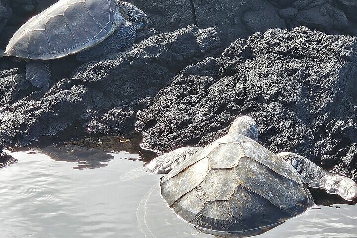 Hawaii Volcanoes, Waterfalls, Beaches & Hilo Highlights Day Tour
